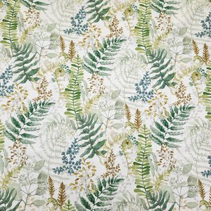 Fernery Herbal