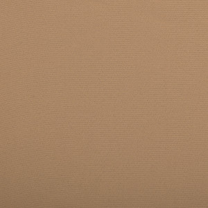 Plain Beige