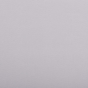Plain Heron
