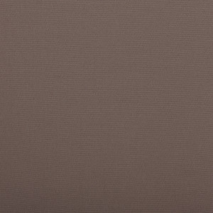 Plain Sparrow