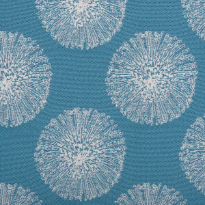 Pincushion Ocean