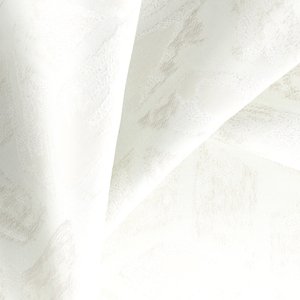 Novel Ivory